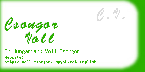 csongor voll business card